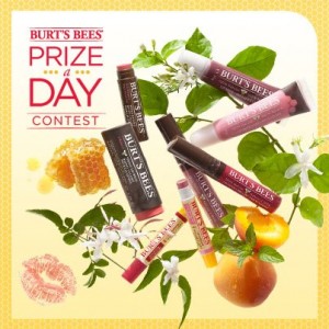 burts bees prize packs