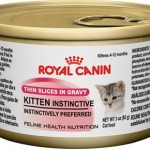 Can-Royal-Canin-Cat-Food