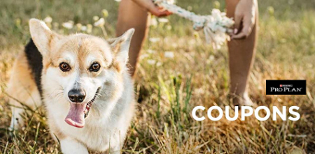 purina coupons