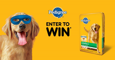 pedigree contest
