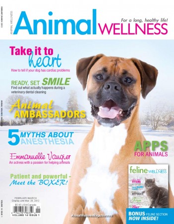 animal wellnes magazine
