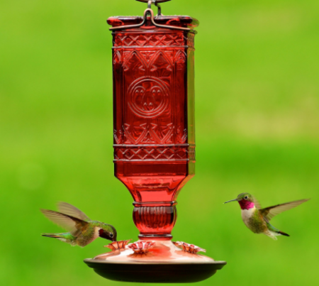perky pet red squeare bird feeder
